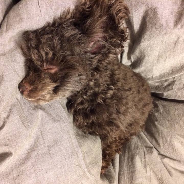 825cfe60 4b82 470b 9e05 d66b2b828022