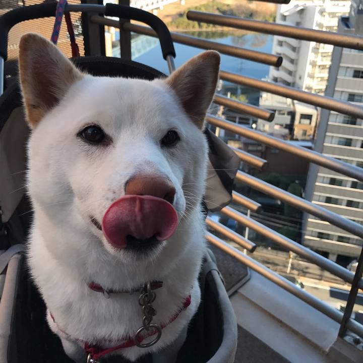 825d0804 f9be 4200 a76b c609fbcdf988