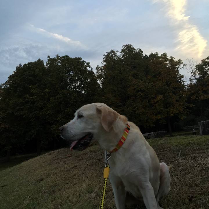 825d369b 604e 45e5 a102 2af685d9d510