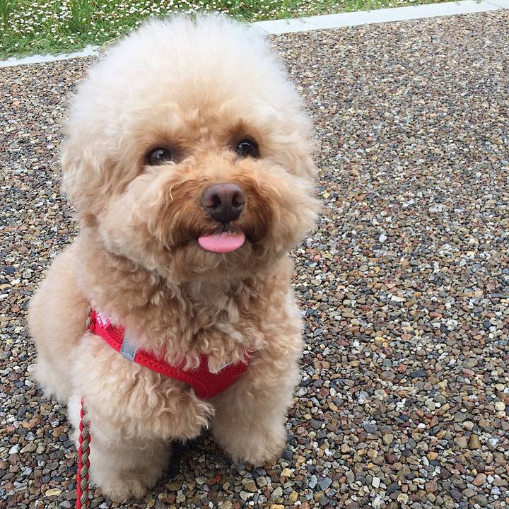 825d40b0 f47f 4aa7 9851 cb234973495e