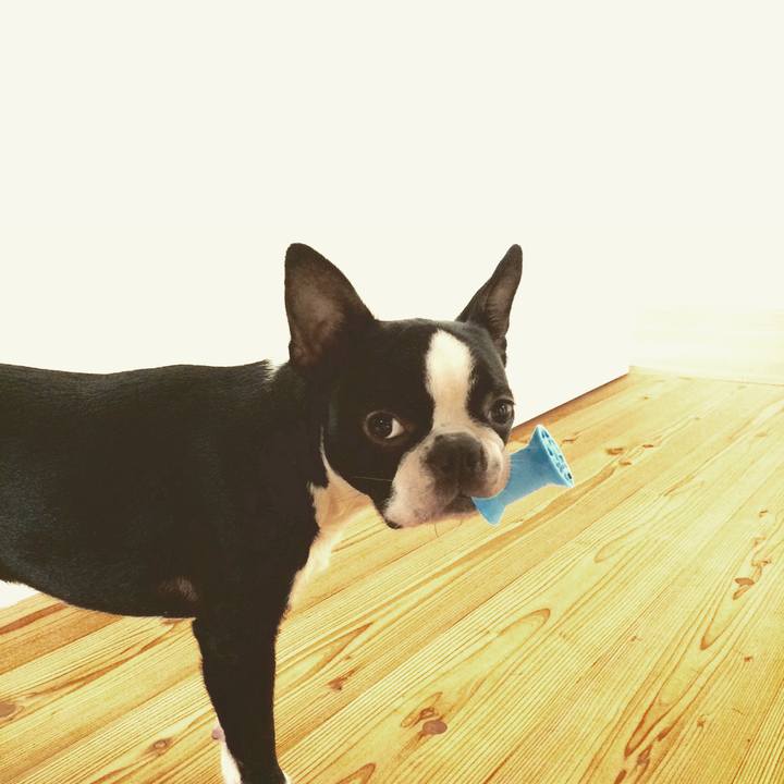 825d60fe 89f8 4fd1 8cee 7591be5d1678