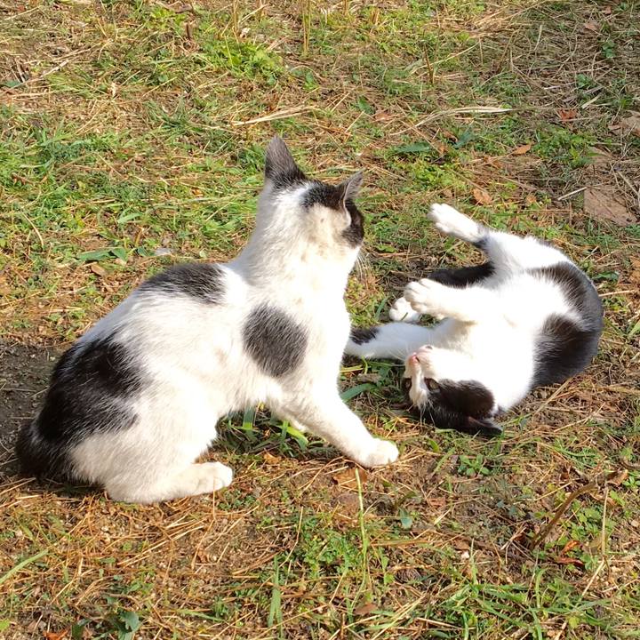 825e146d 8731 4954 8137 b74665670153