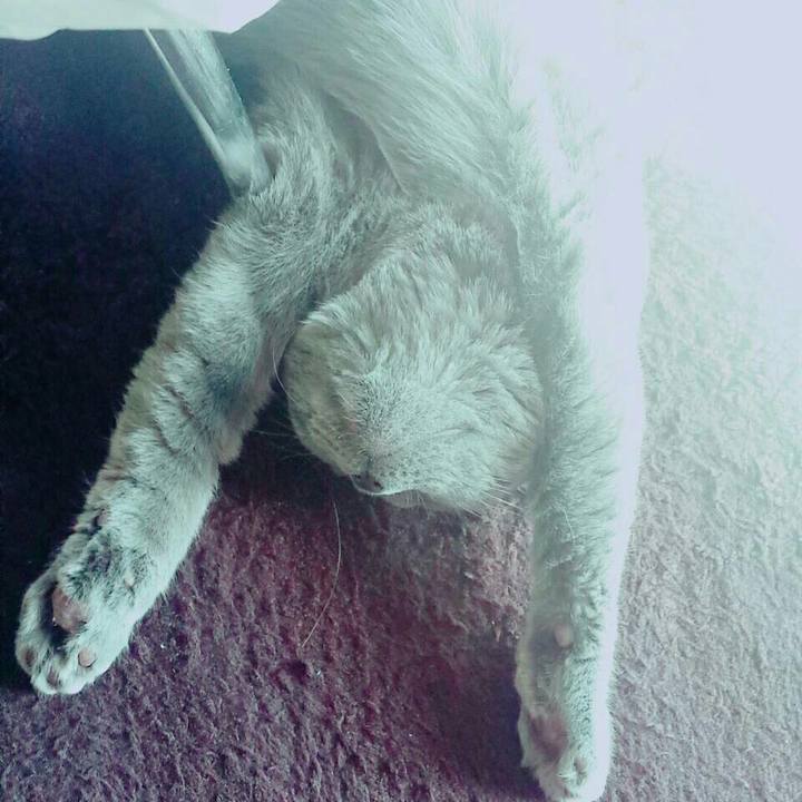 825ed6f9 aa31 41e3 a7ac 772b3f98a5ea