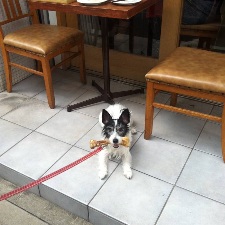 825f182d b168 4309 bff3 4f564be84ec0