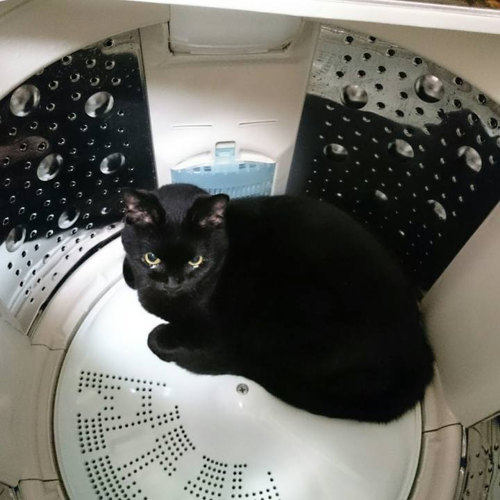 825f32bf 60dd 4562 a020 19471e491182