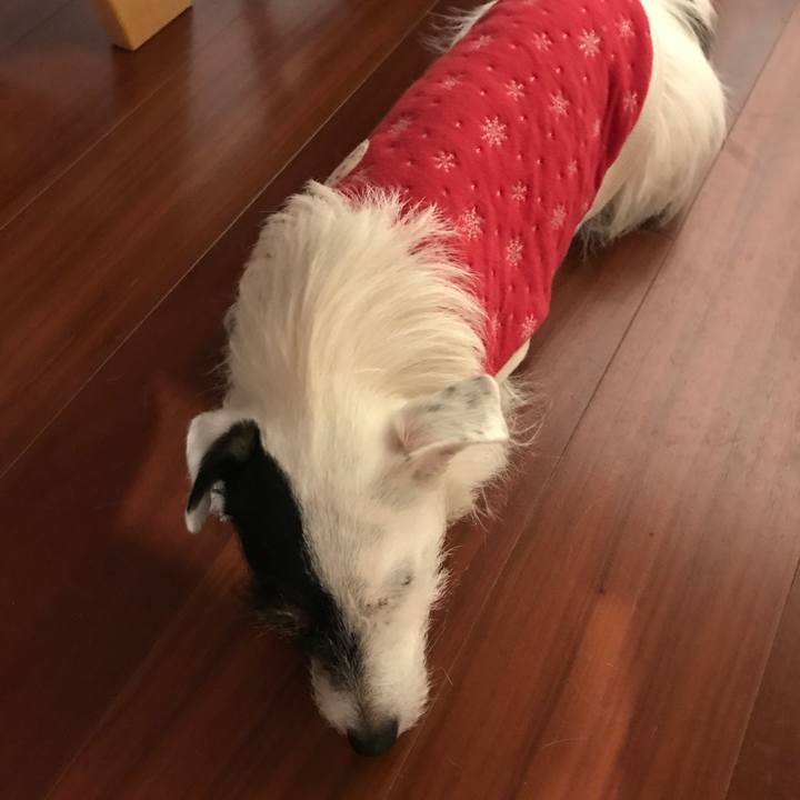 825f596f b2c2 4e48 a21e a98900802c9f