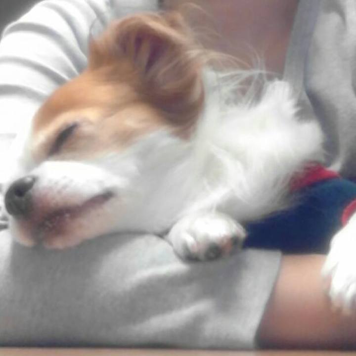 825f5a0a 9b09 4f77 9e40 5183058354ee