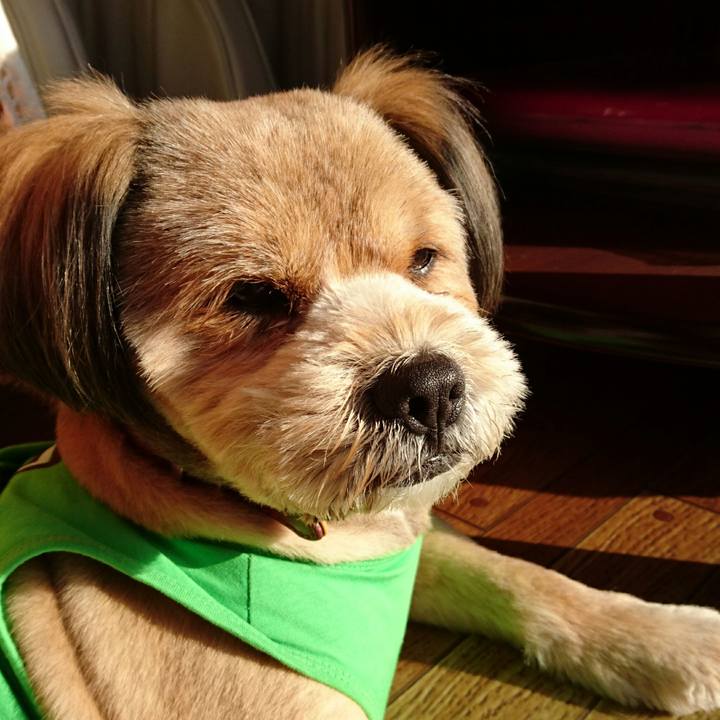 825fa81a d02f 491c 8164 60663af6bee6