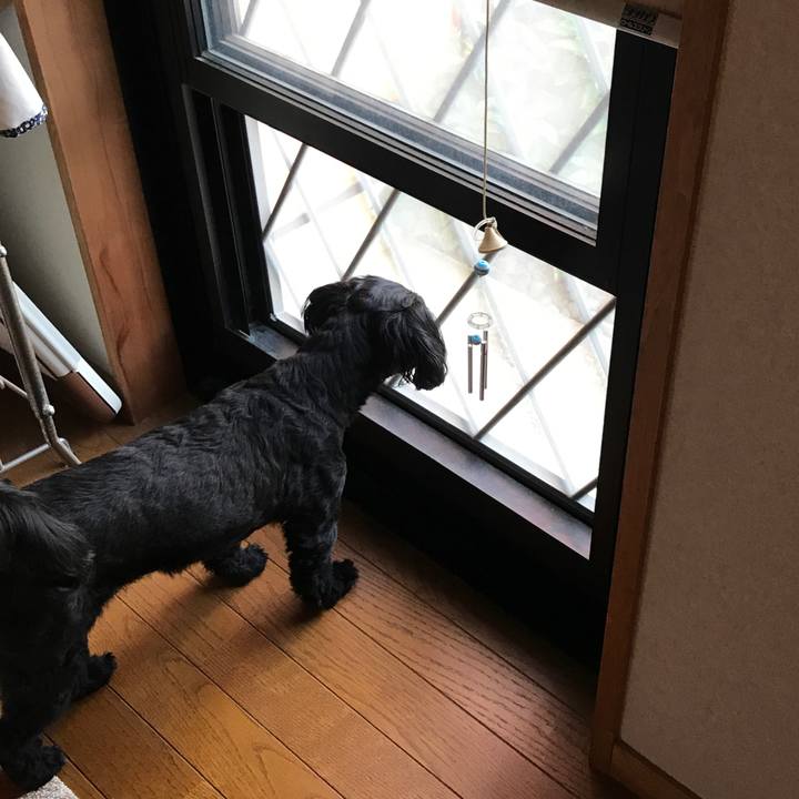 825fc449 8b14 40d9 8d0c 509ec3b2dffb