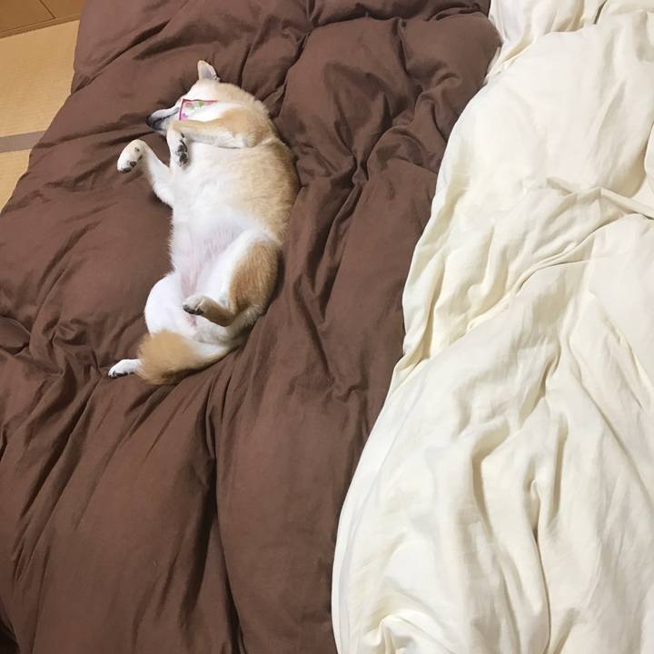 8260390c 1be8 4ecf 9c7a 9b2aff567e00