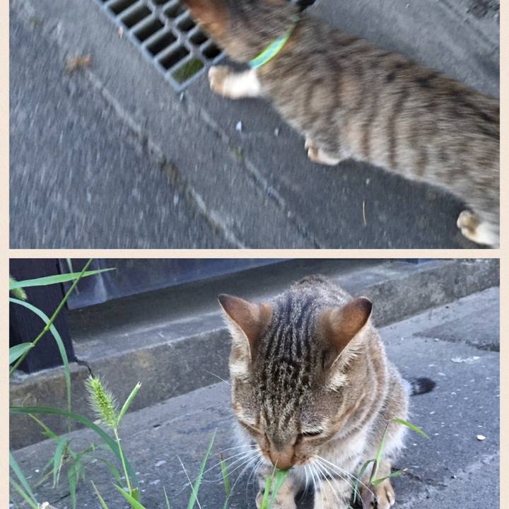 826105b3 4ccc 4740 a6b1 fdc81be05e1c