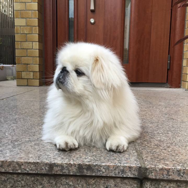 826105c6 5180 4649 93cb 3cbda9aa56ab