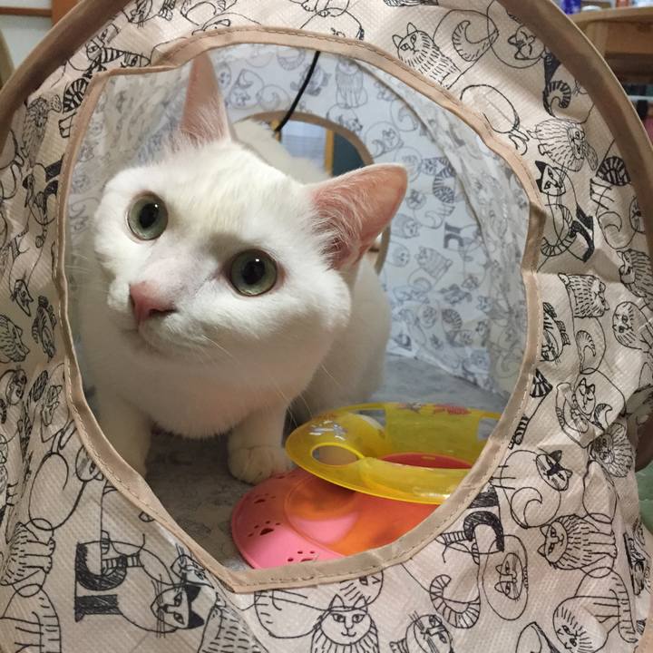 82613d67 1830 4797 b4f7 cb93811c99da