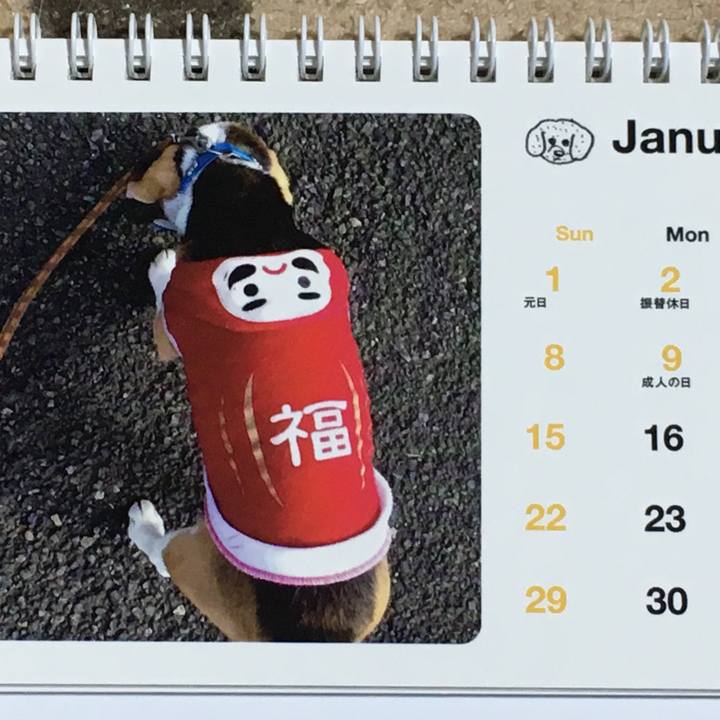 8261a7f7 ae2b 4261 a6ac ebc88365baea