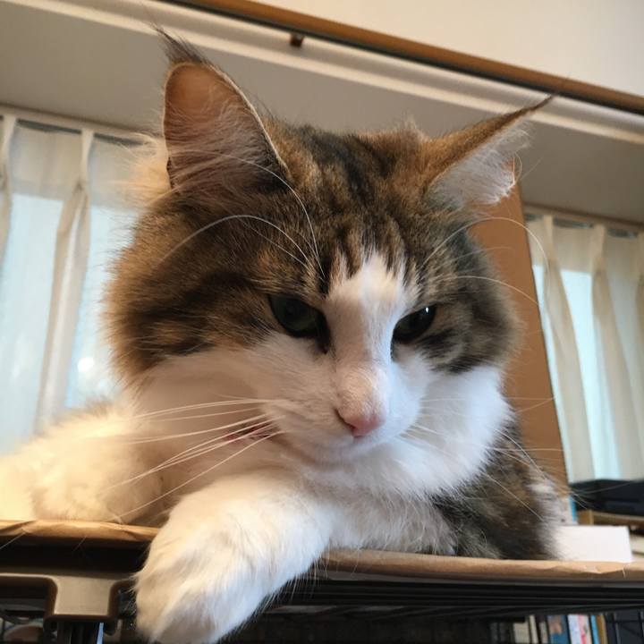 8261c971 b8b2 4847 b329 afe5f0e422d6