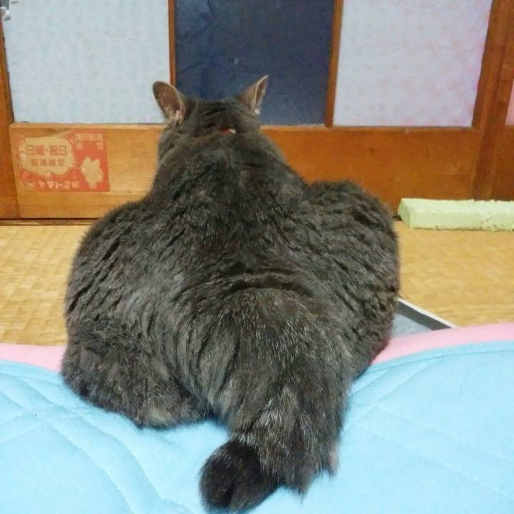 8261fa1d 839c 4445 8f9c 665547ac79ce