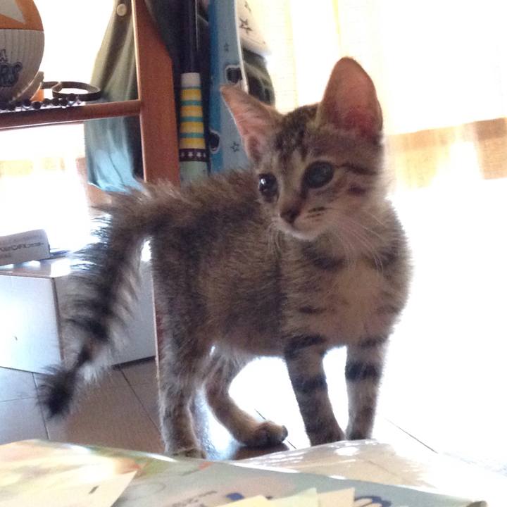 82624bb1 0959 4465 bf9b 1eb13a9e63af