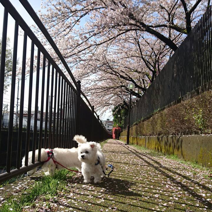 82626a19 2de5 4854 a67f 8e1c650f8919