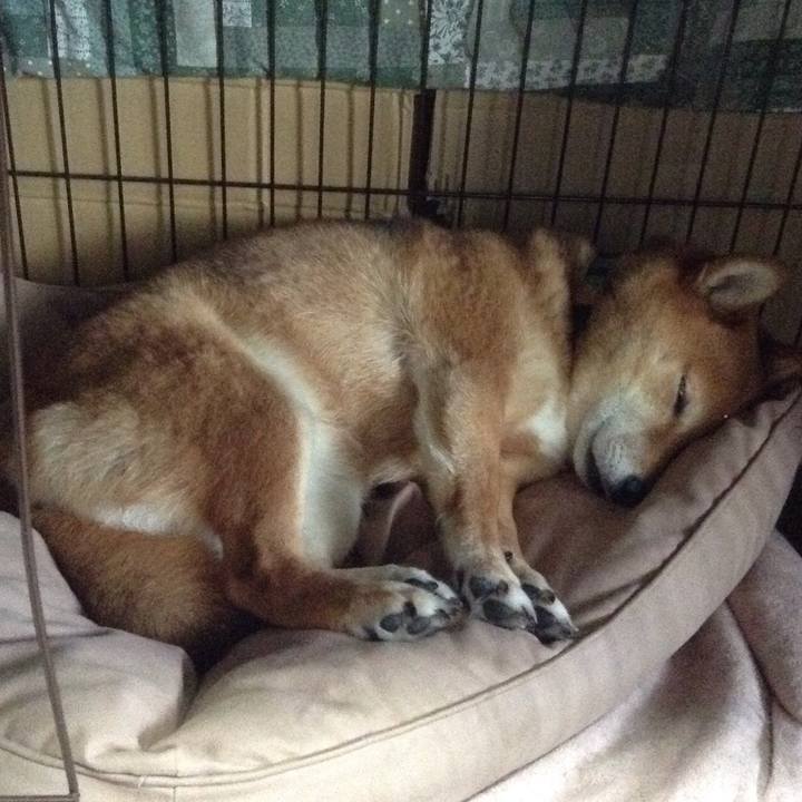 8262888c 750f 49ea b194 b1513a588487