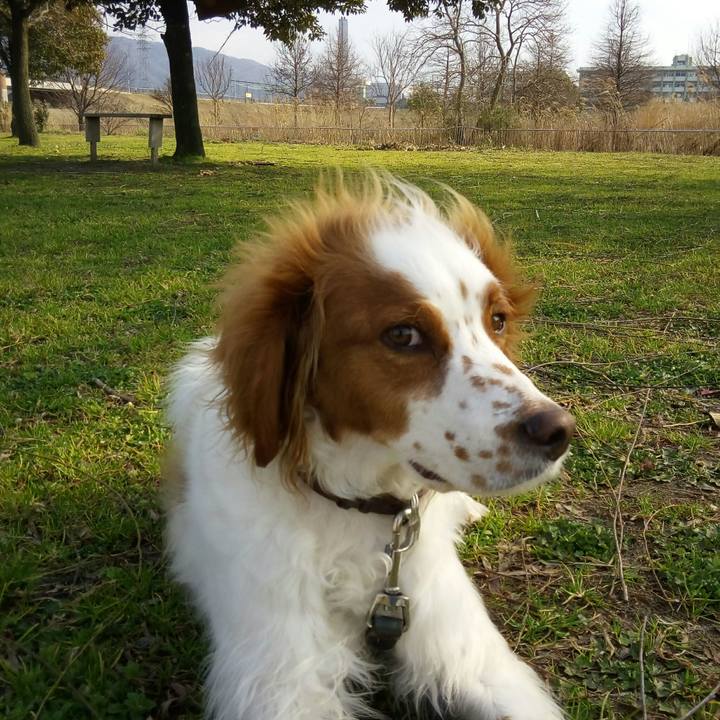 8262e3a2 0556 40b8 b682 0d24799839cd