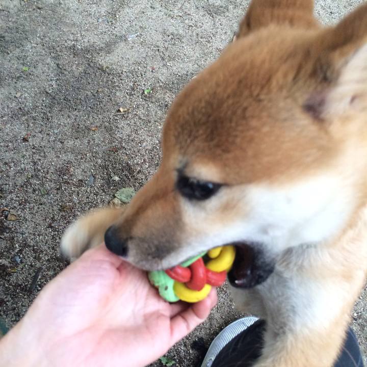 82634c33 d38e 4719 984d 4394b2bda92b