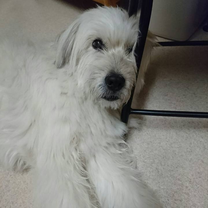 82637d45 143e 4dc0 b5d7 dba7a0efc2f0