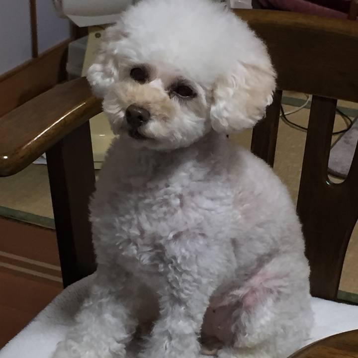 8263cd1a bf32 4bef b65d 57cc36167122