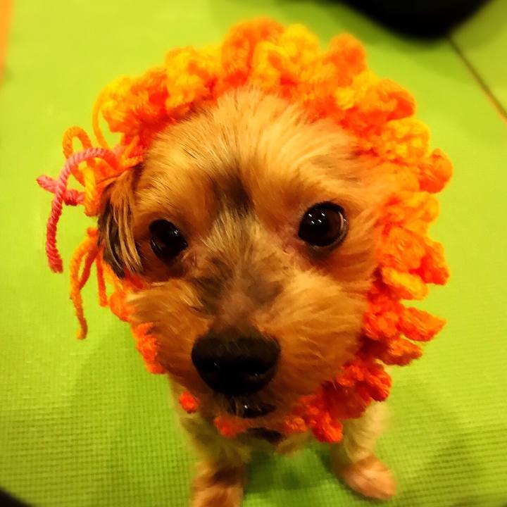 8264ac04 87d4 4673 b6b1 506e6be8ed3c