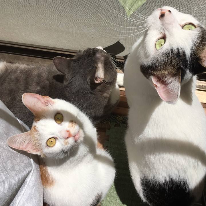 8264d9a4 5d4a 425c a2e8 5f87569e5b60