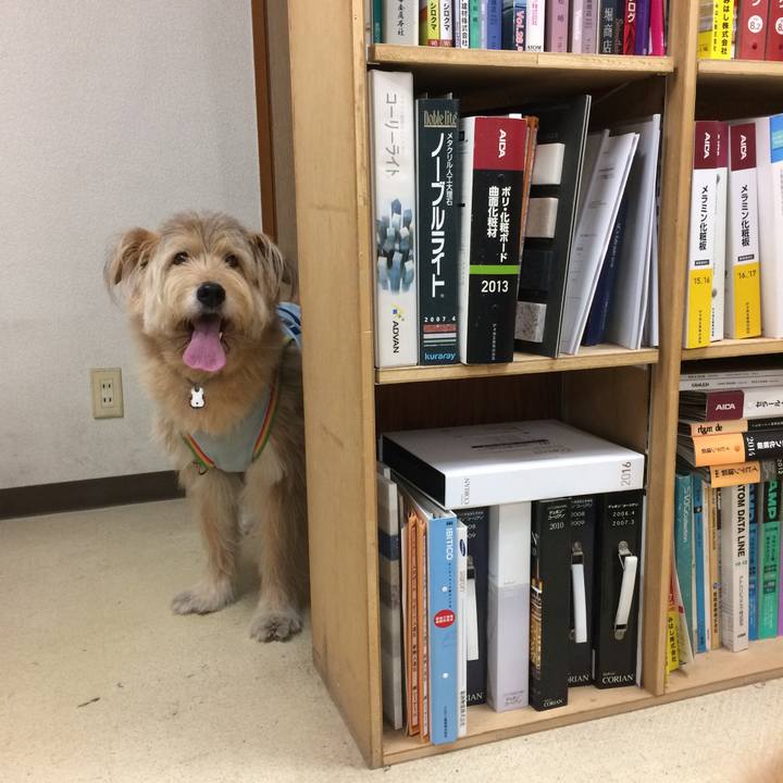 8265978d 54bc 414f b0bd 8f7c9b9efbdd