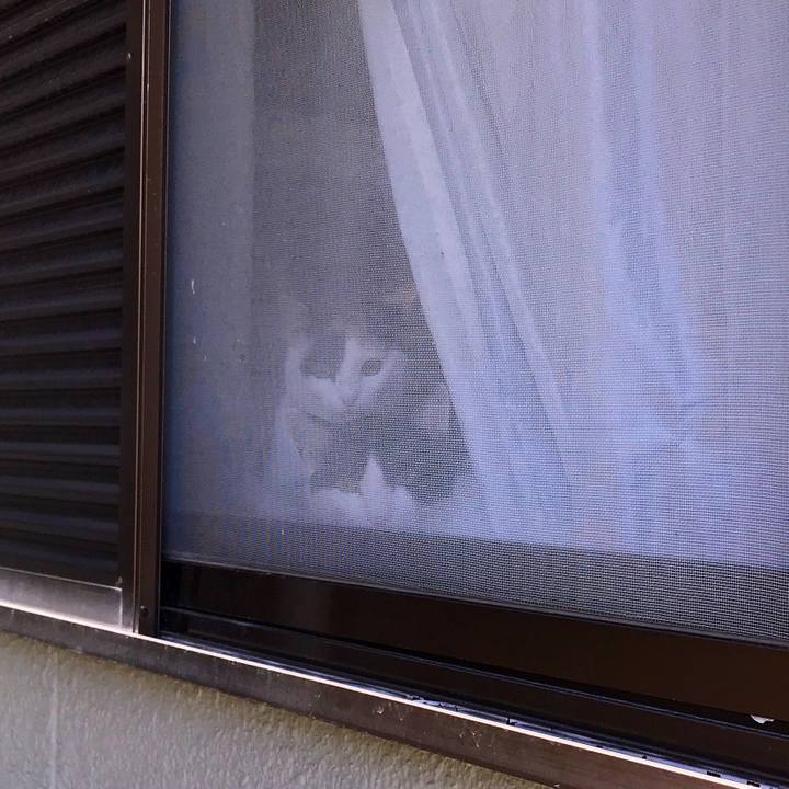 8265b6ec 5ff9 4ccd 83b9 c3edd39a8be1