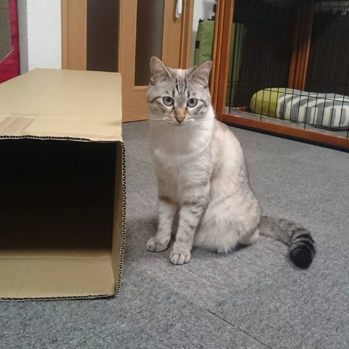 8265dd46 2873 4d0a 854d 78bf11fd5dcb