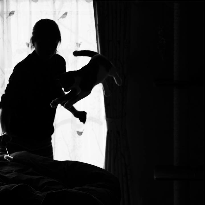 82665ee1 92a1 490d 979d b33c05a214cb