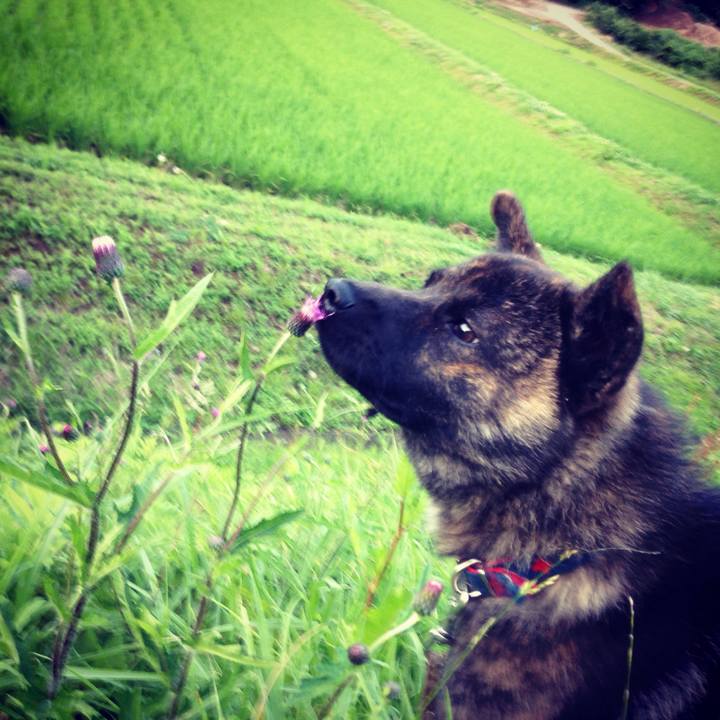 826695d7 9af2 40c7 94ef c39268a868f9