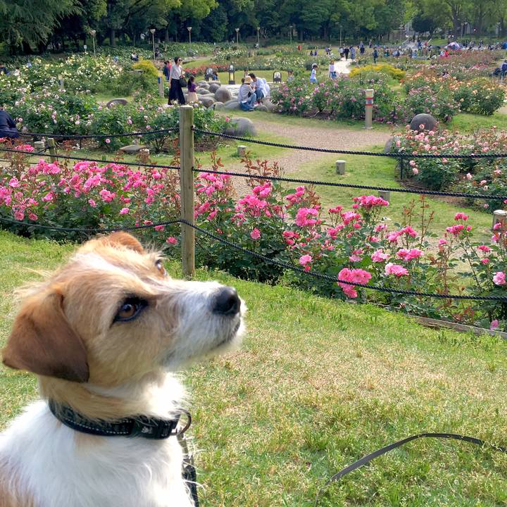 82669c21 1ac4 4213 892e f3bc5511ff99