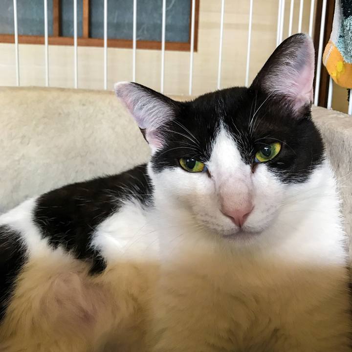 8266c585 f2b1 4bc4 9724 b90139d5fd09