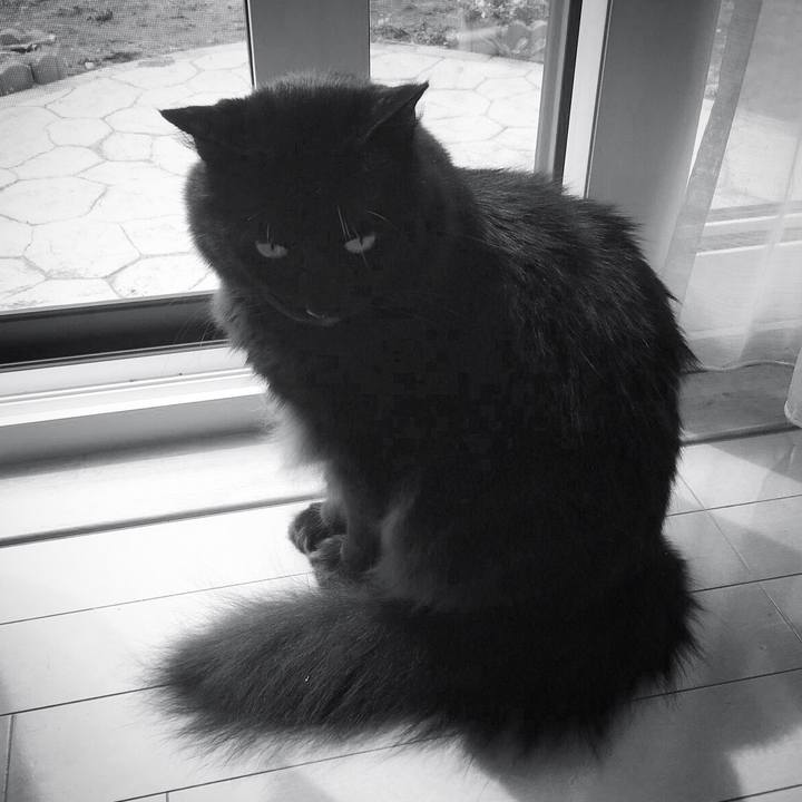 82670257 2dc7 4dd5 950a dc3336a1c353