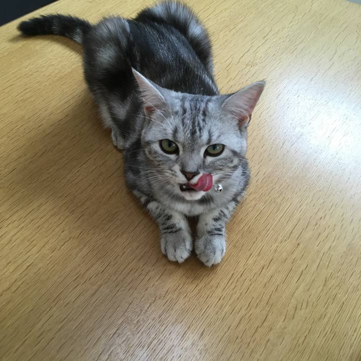 8267369f 74b1 406a ab6e f9e19298b02c