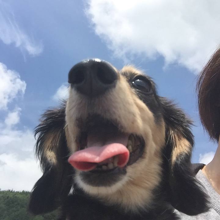 8267aa7a 9d9d 43e0 87ec 6f3e40e93049