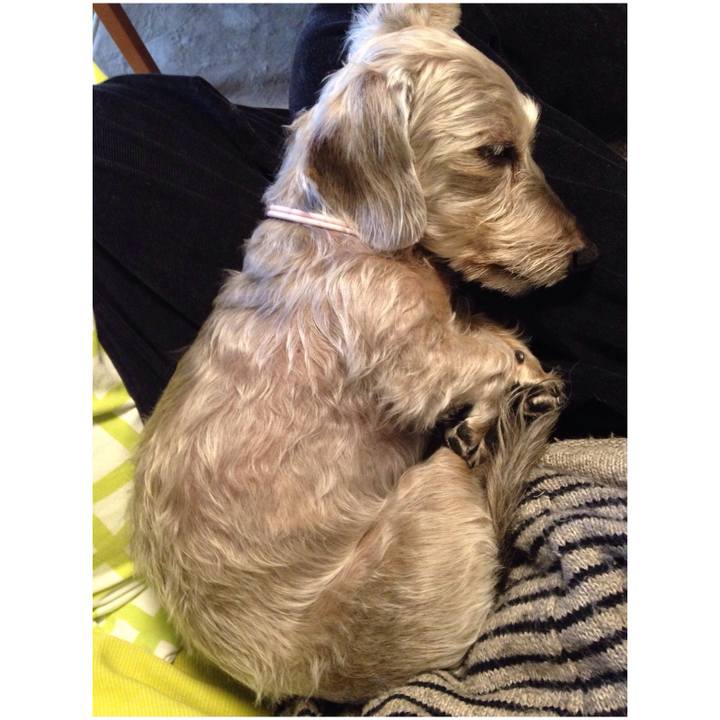 8267f2d6 f062 4232 9935 719c01d2c5be