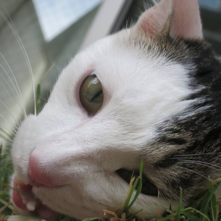 8267f633 2a2e 433e 9801 4f78ffd849c6