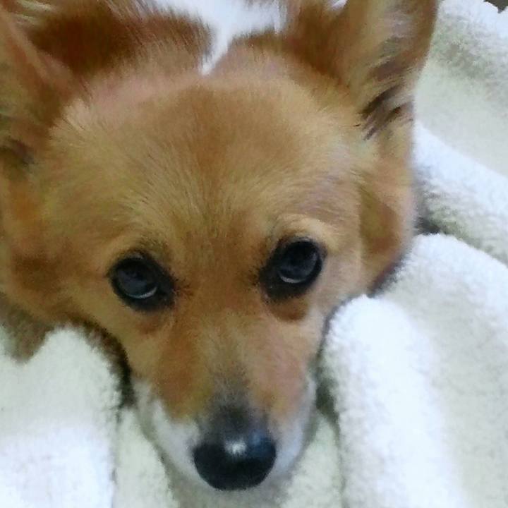 82686019 e337 4fc3 ab8e 98105f5af78f