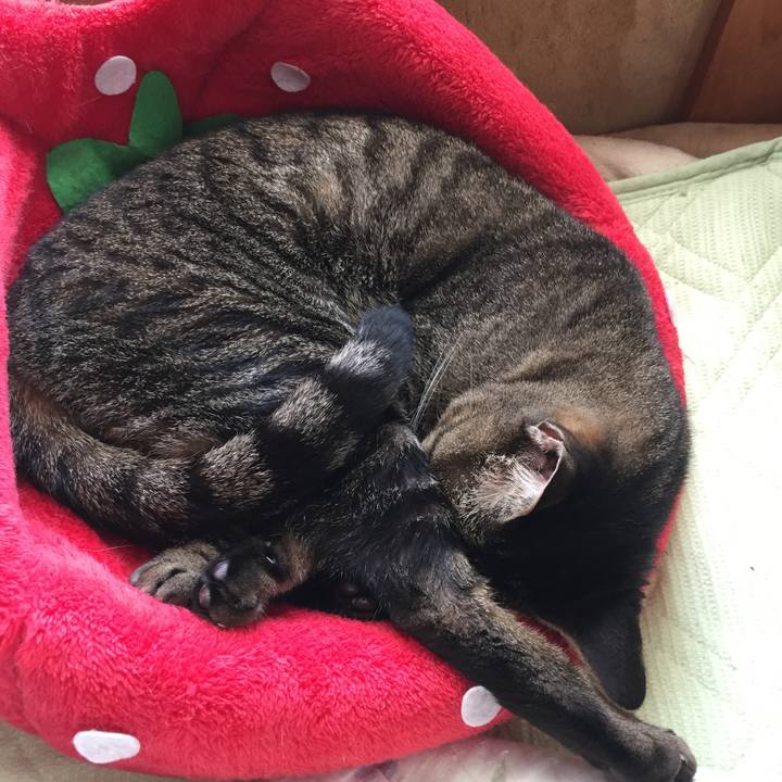 8268a644 ce2c 4a39 a9f0 0e582ce36f63