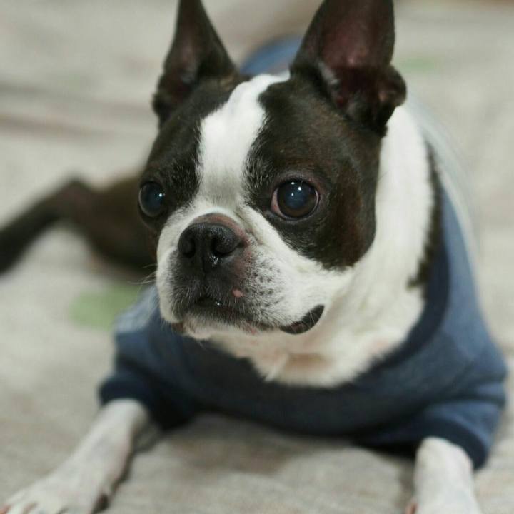 82690f56 9a62 4f47 be82 bcfa449c45c1