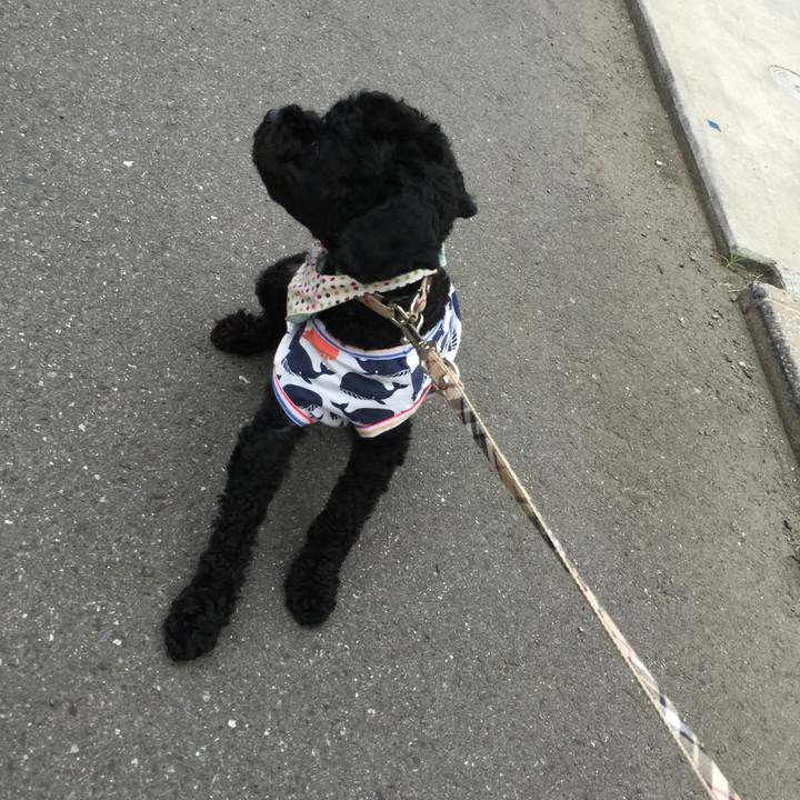 82698739 d451 45fc 903d de5d928224ca