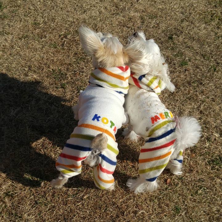 826afe5d ee88 404b b66b 4dd3acfb8348