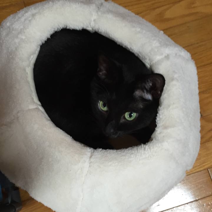 826b79e4 1220 4e96 8933 1e397e63083d