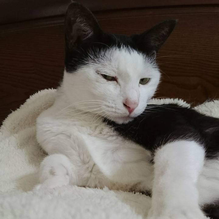 826b7a2c 9f54 459f bca5 eb7cab5b4f16