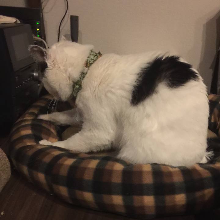 826b80a6 d8d5 4ca7 8cb9 67ce3a93966f