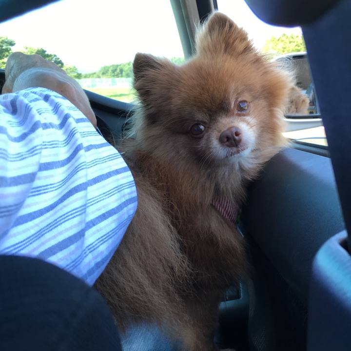 826c57ea 3391 4f09 94d5 d17ef5423469